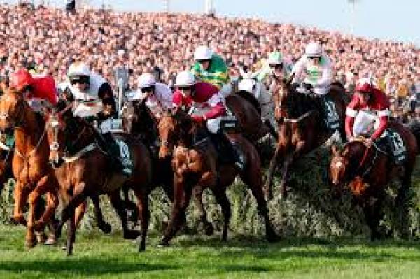 Tiger Roll Aiming to Make Grand National History in the UK