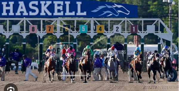 2023 $1 Million Haskell Stakes Betting Preview