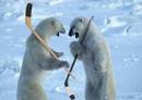 hockey hockey