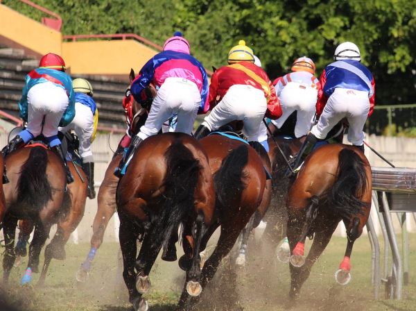 A Quick Guide to Betting on Horse Racing  