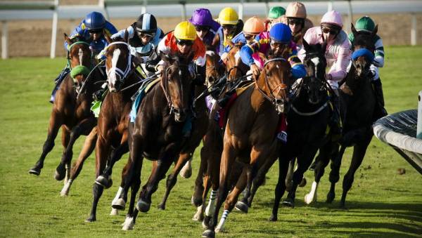 Bet the 2021 Blue Grass Stakes - Payout Odds to Win