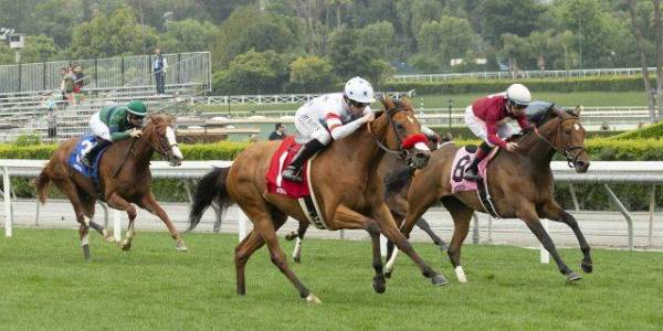 Santa Anita Won't Close Despite 2 Deaths in 2 days