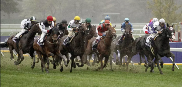 What Sites Have the Best Daily Rebates for Horse Betting? 