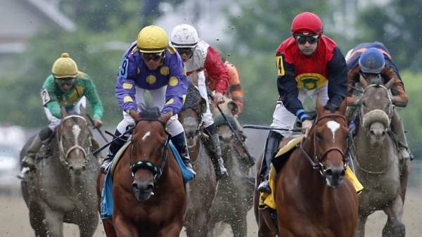 Where Can I Bet the Preakness Stakes Online From Florida?