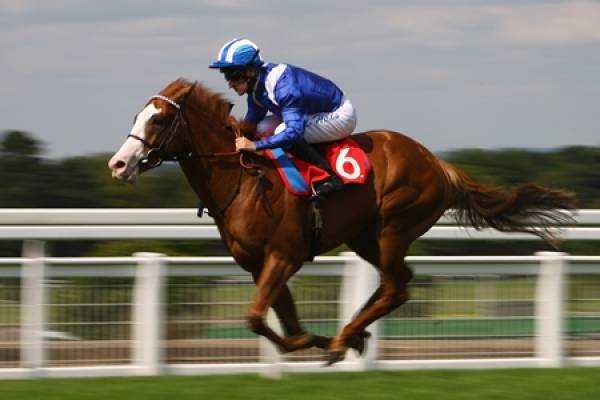 德州無法用使用Twinspires網站進行賽馬投注:哪裡可以投注2016年度Kentucky Derby? 德州無法用使用Twinspires網站進行賽馬投注:哪裡可以投注2016年度Kentucky Derby?