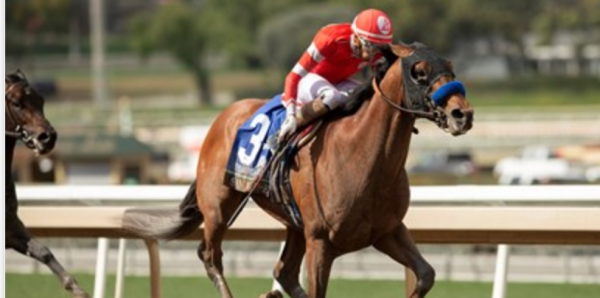 What Are the Payout Odds Practical Move to Win the Kentucky Derby?