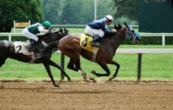 The top industry leading UK bookies for horse racing bettors