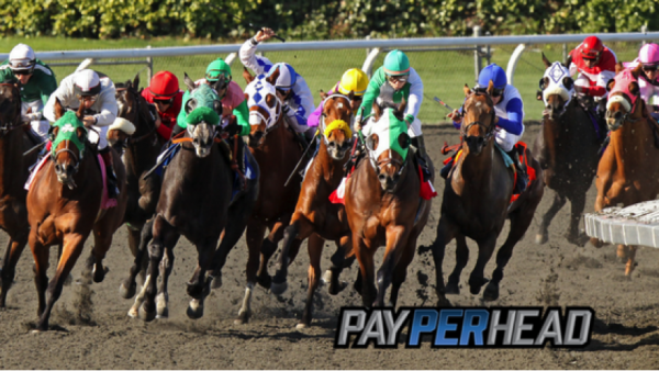 Racebook Tip: Use Santa Anita Derby Race To Increase Triple Crown Bettors