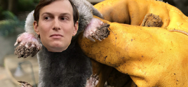 Michael Cohen Says the Mar-A-Lago Mole is Jared Kushner