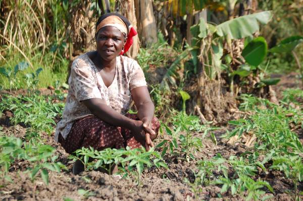LCB Helps the Impoverished Through Kiva LCB Helps the Impoverished Through Kiva