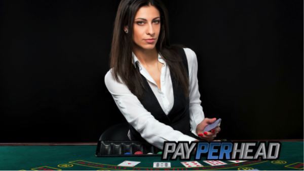 See More Action in Sportsbooks with Live Casinos and Horse Betting