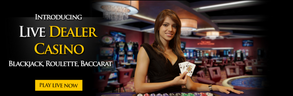 Bookmaker Live Dealer Casino Debuts: Roulette, Blackjack, Baccarat