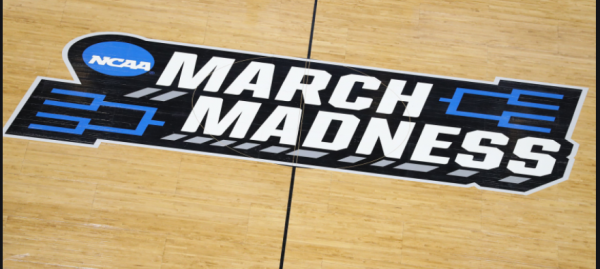 March Madness Betting Action Report 