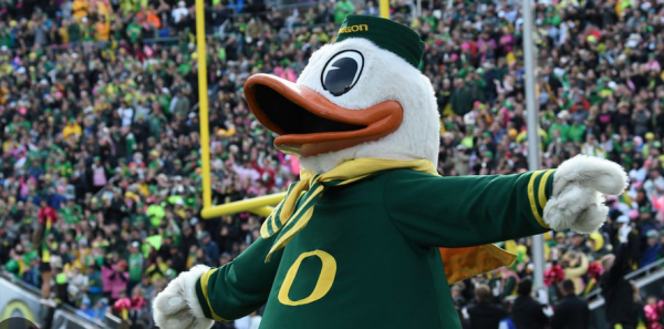 Oregon Ducks Football Betting Trends 