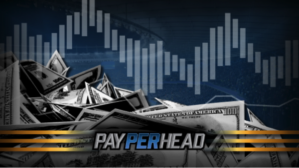 Which PayPerHead Reports Are The Most Valuable to Bookies?