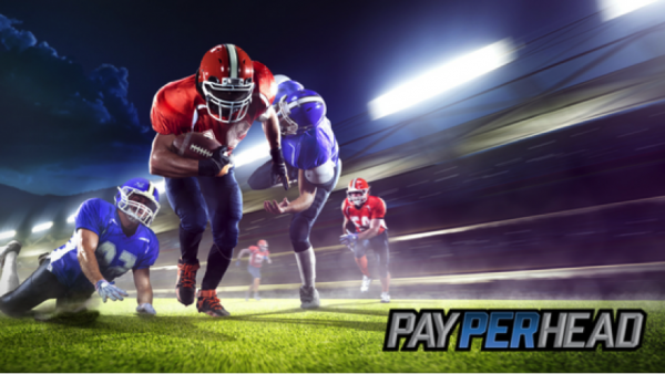 Pay Per Head Agents - Promote NFL Betting Now For More Cash
