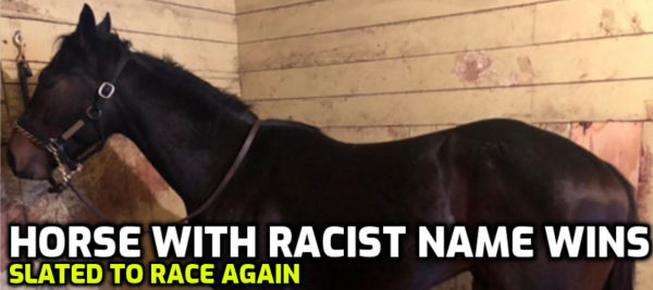 Horse With Racist Name Raises Eye Brows, Trainer Banned