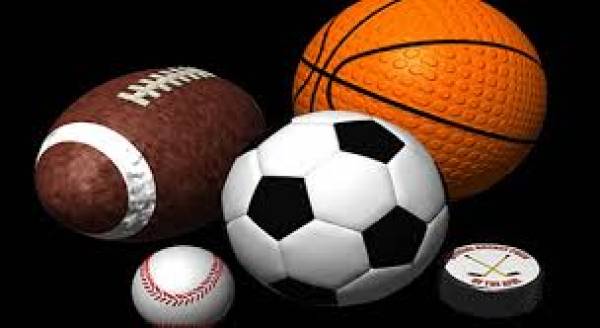 Sports Betting Platform Providers