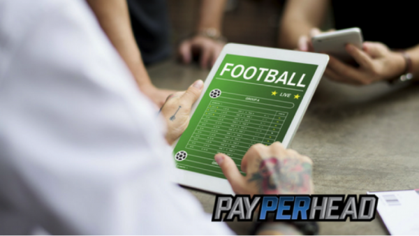 7 Easy Steps To Creating A Profitable Sportsbook Business