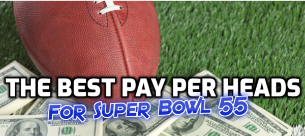 What Are The Best Pay Per Heads to Use for the Super Bowl?