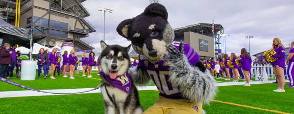 What Are the Regular Season Wins Total Odds for the Washington Huskies - 2022?