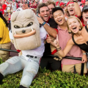 UGA Bulldogs Betting Trends 