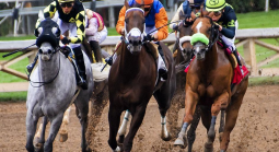 5 Wagering Tips To Follow For The Belmont Stakes 2022