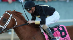 2023 Pegasus World Cup Morning Odds
