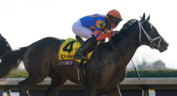 Forte Payout Odds to Win Belmont Stakes 