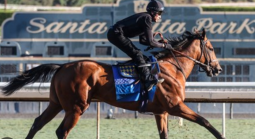 What Are the Payout Odds National Treasure to Win the Belmont Stakes?