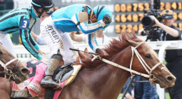 Mage Payout Odds of Winning the Preakness Stakes Likely Between 5-2 and 4-1