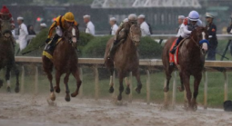 Preakness Stakes 2023 Mudders: Blazing Sevens Requires a Second Look