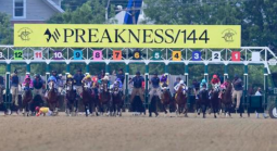 Can I Bet the Preakness Stakes on the Caesars Sportsbook App?