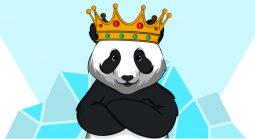 Revpanda - Digital Marketing Agency That Focuses on iGaming Launches Casinobee.com