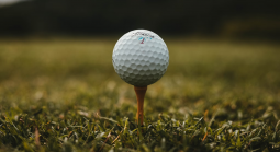 golf ball on tee