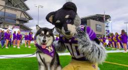 What Are the Regular Season Wins Total Odds for the Washington Huskies - 2022?