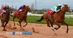 Pay Per Head for Kentucky Derby Prep Races  