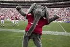 Alabama Crimson Tide Regular Season Wins Prediction, Betting Odds 2017