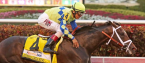 What Will the Payout Be If Always Dreaming Wins the Preakness Stakes? What Will the Payout Be If Always Dreaming Wins the Preakness Stakes?