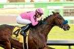 Anothertwistafate Preakness Stakes Payout Odds 7-1