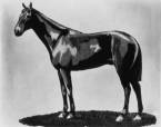 Which Are the Horses That Can be Impacted by Apollo's Curse in the 2018 Kentucky Derby? Which Are the Horses That Can be Impacted by Apollo's Curse in the 2018 Kentucky Derby?