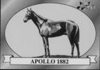 What is the Apollo Curse?  2018 Kentucky Derby 