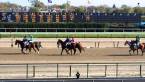 Racebook Software for 2018 Aqueduct Races Racebook Software for 2018 Aqueduct Races