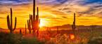 Where Can I Bet The 2022 Super Bowl 56 Online From Arizona? Where Can I Bet The 2022 Super Bowl 56 Online From Arizona?