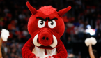 LSU Tigers vs. Arkansas Razorbacks Prop Bets February 27 LSU Tigers vs. Arkansas Razorbacks Prop Bets February 27