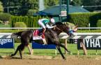 Arrogate Odds to Win the 2016 Breeders Cup Classic 