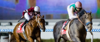 2017 Breeders Cup Classic Morning Odds 2017 Breeders Cup Classic Morning Odds