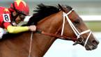 Audible Odds to Win the 2018 Kentucky Derby - 7-1 Audible Odds to Win the 2018 Kentucky Derby - 7-1