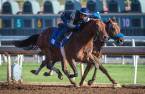 What Will the Payout Be if Battle of Midway Wins 2017 Kentucky Derby  