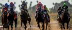 Horse Racing Odds – 2021 Belmont Stakes Longshots